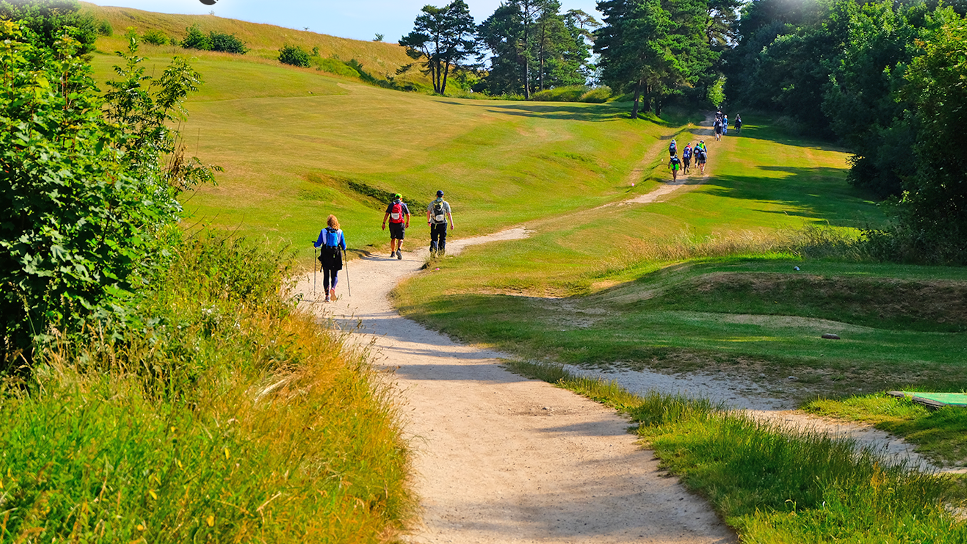 trekkers on the chiltern challenge