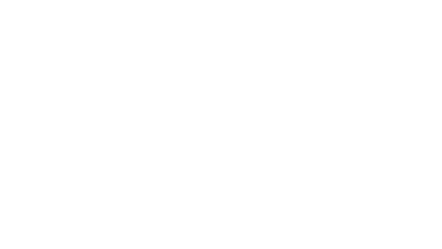 icon support white.png