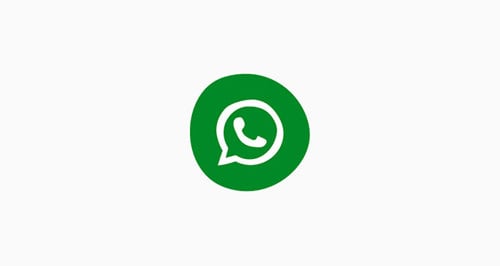 Whatsapp icon