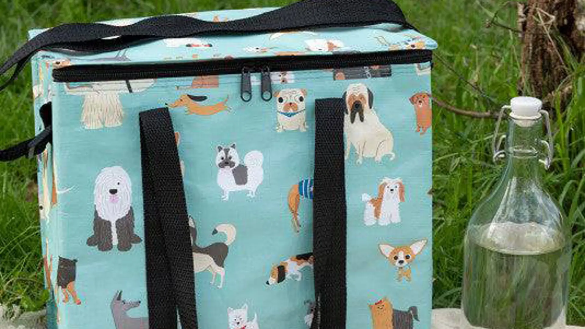 Nspcc Shop Dog Picnic